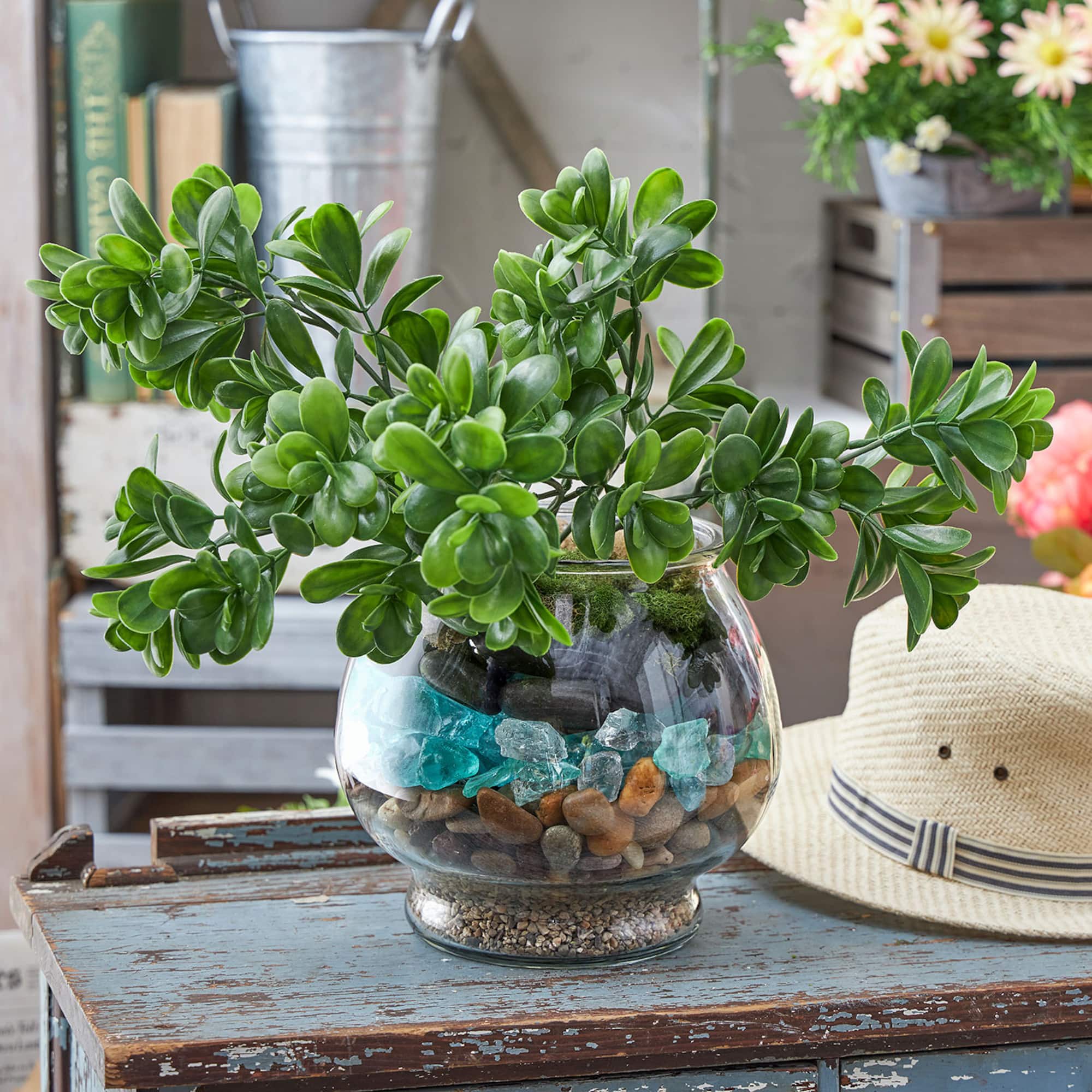 9" Clear Glass Terrarium by Ashland®